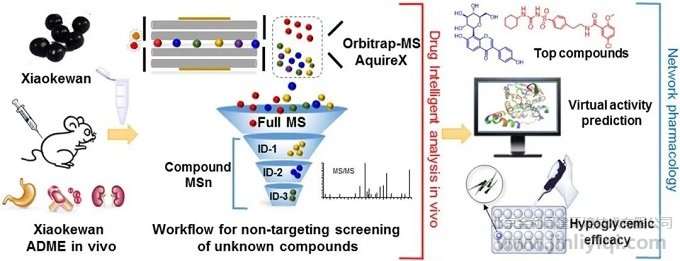 圖3. 消渴丸治療糖尿病的藥理機(jī)制和物質(zhì)基礎(chǔ)研究整體方案